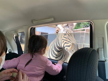 那須サファリパークに投稿された画像（2020/11/5）