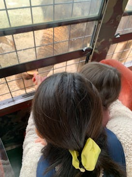 那須サファリパークに投稿された画像（2020/11/5）