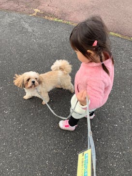 那須どうぶつ王国に投稿された画像（2020/11/5）