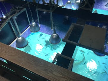 サンシャイン水族館に投稿された画像（2020/11/5）