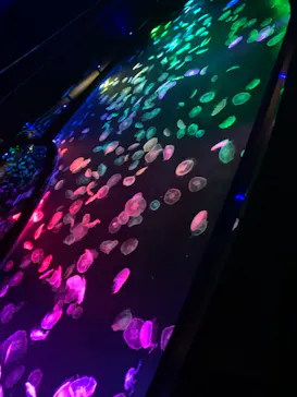 すみだ水族館に投稿された画像（2020/11/5）