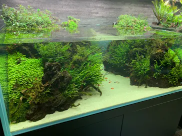 すみだ水族館に投稿された画像（2020/11/5）