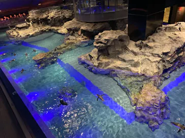 すみだ水族館に投稿された画像（2020/11/5）