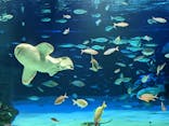 サンシャイン水族館に投稿された画像（2020/11/5）