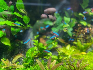 サンシャイン水族館に投稿された画像（2020/11/5）