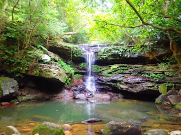 西表島 ADVENTURE PiPi（アドベンチャーピピ）に投稿された画像（2020/11/5）