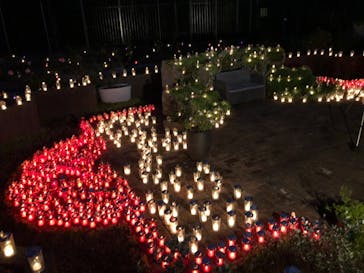 江の島シーキャンドルに投稿された画像（2020/11/5）