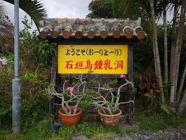 石垣島鍾乳洞に投稿された画像（2020/11/5）