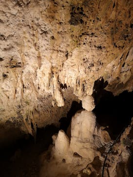 石垣島鍾乳洞に投稿された画像（2020/11/5）