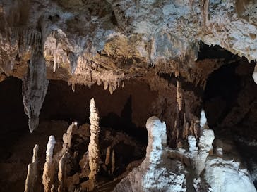 石垣島鍾乳洞に投稿された画像（2020/11/5）