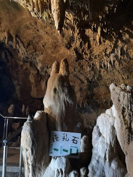 石垣島鍾乳洞に投稿された画像（2020/11/5）