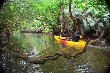 西表島 ADVENTURE PiPi（アドベンチャーピピ）に投稿された画像（2020/11/5）