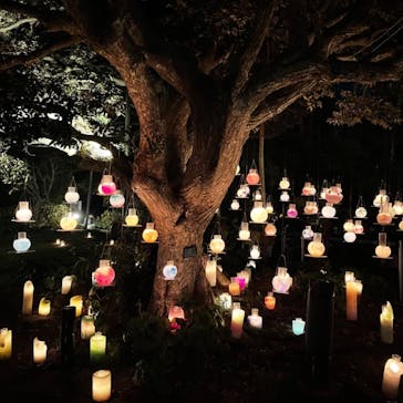 江の島シーキャンドルに投稿された画像（2020/11/5）