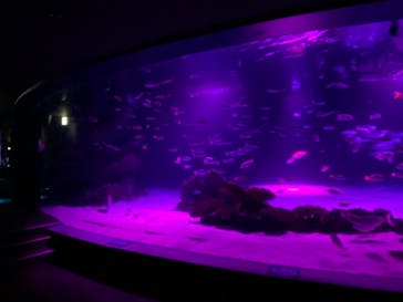 サンシャイン水族館に投稿された画像（2020/11/5）