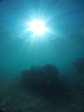 武藤潜水に投稿された画像（2020/11/5）