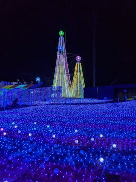 よみうりランド 遊園地に投稿された画像（2020/11/5）