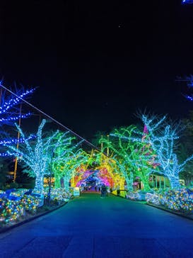 よみうりランド 遊園地に投稿された画像（2020/11/5）