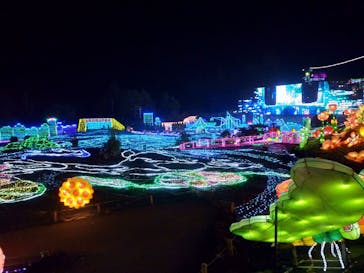 伊豆ぐらんぱる公園に投稿された画像（2020/11/5）