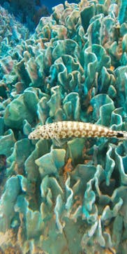 サンシャイン水族館に投稿された画像（2020/11/6）