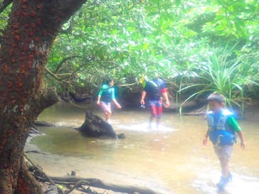 西表島 ADVENTURE PiPi（アドベンチャーピピ）に投稿された画像（2020/11/6）