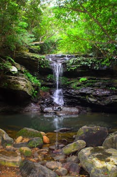 西表島 ADVENTURE PiPi（アドベンチャーピピ）に投稿された画像（2020/11/6）