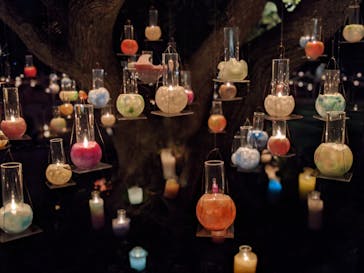 江の島シーキャンドルに投稿された画像（2020/11/6）