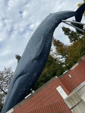 国立科学博物館に投稿された画像（2020/11/6）