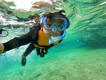 DIVING-SHOP SUNSに投稿された画像（2020/11/6）