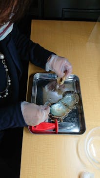 三重県真珠に投稿された画像（2020/11/7）