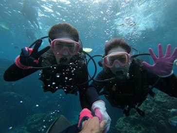 武藤潜水に投稿された画像（2020/11/7）