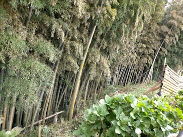 成田ゆめ牧場に投稿された画像（2020/11/7）