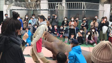 ゼロ距離水族館 伊勢シーパラダイスに投稿された画像（2020/11/7）