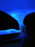 サンシャイン水族館に投稿された画像（2020/11/7）