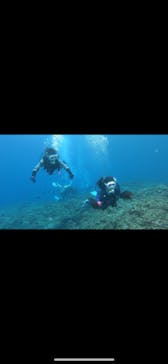 DIVING-SHOP SUNSに投稿された画像（2020/11/7）