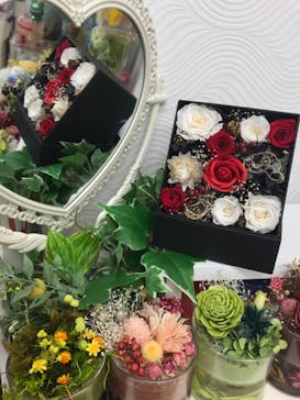 ずこうしつ〜sugamo〜に投稿された画像（2020/11/7）