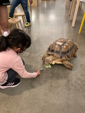 Moff アニマル カフェ イーアス 高尾店に投稿された画像（2020/11/7）