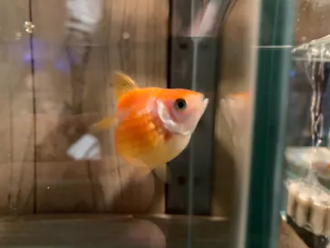 すみだ水族館に投稿された画像（2020/11/7）