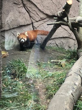 那須どうぶつ王国に投稿された画像（2020/11/7）