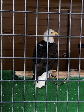 那須どうぶつ王国に投稿された画像（2020/11/7）