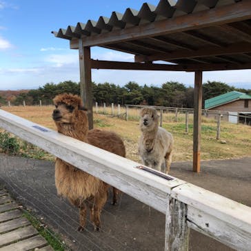 那須どうぶつ王国に投稿された画像（2020/11/7）