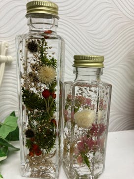 ずこうしつ〜sugamo〜に投稿された画像（2020/11/7）