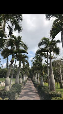 美らヤシパークオキナワ・東南植物楽園に投稿された画像（2020/11/7）