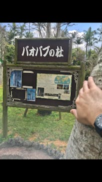 美らヤシパークオキナワ・東南植物楽園に投稿された画像（2020/11/7）