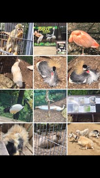 美らヤシパークオキナワ・東南植物楽園に投稿された画像（2020/11/7）