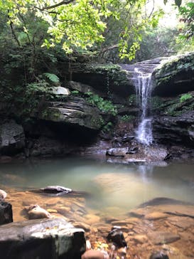 西表島 ADVENTURE PiPi（アドベンチャーピピ）に投稿された画像（2020/11/7）