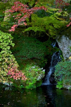 箱根美術館に投稿された画像（2020/11/7）