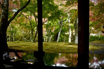 箱根美術館に投稿された画像（2020/11/7）