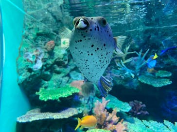 サンシャイン水族館に投稿された画像（2020/11/7）