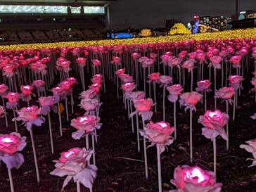 東京メガイルミに投稿された画像（2020/11/7）