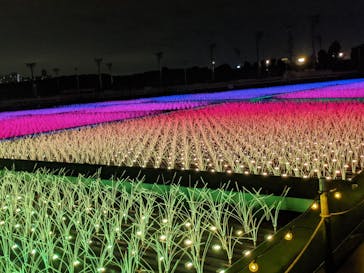 東京メガイルミに投稿された画像（2020/11/7）